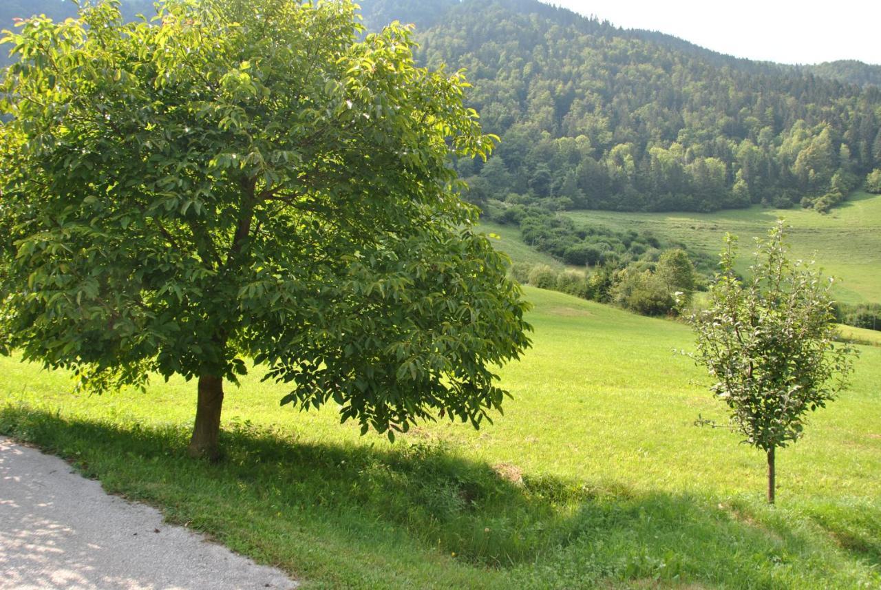 Studio Alpika Luče Exterior foto